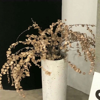 兽设节日场景设计福瑞交流群